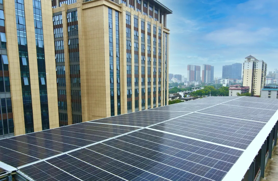 尊龙官方网站 - (中国区)首页